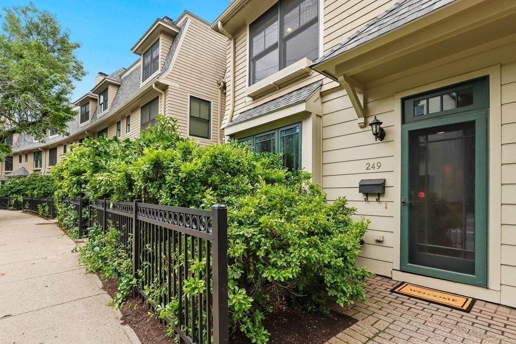 249 Cypress St - Photo 1
