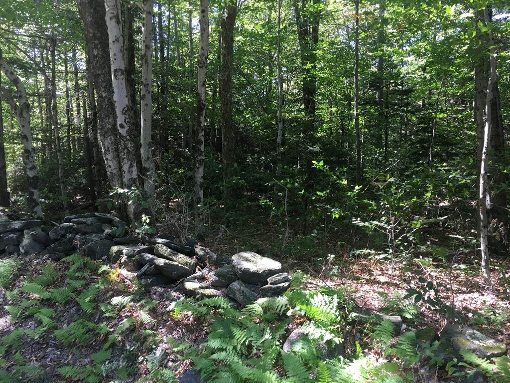 Lot 3 Bow St - Photo 1