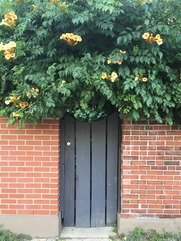 59 E Springfield Street - Photo 1