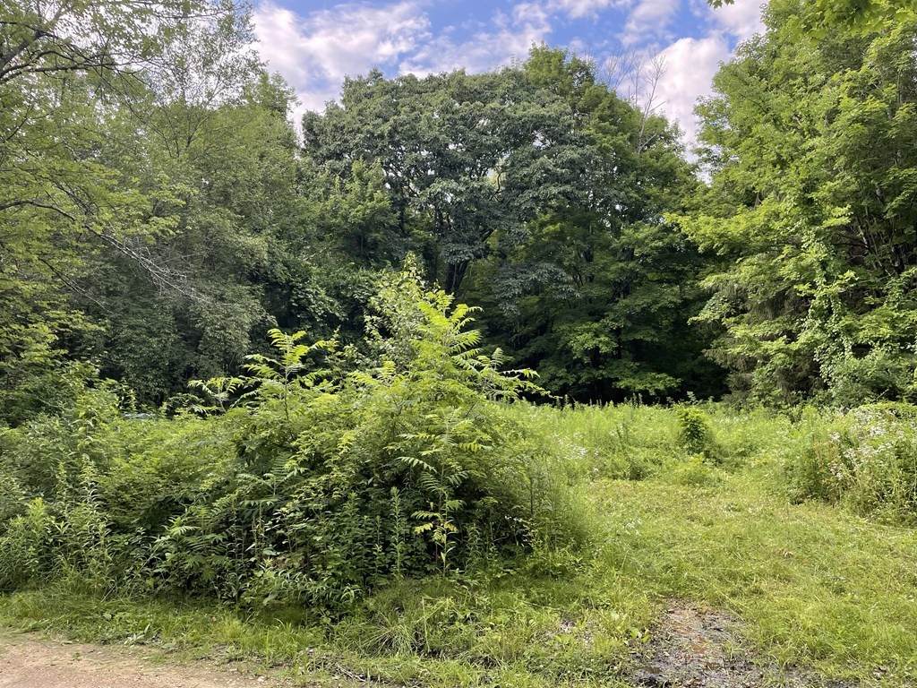 264 Breen Rd - Photo 1
