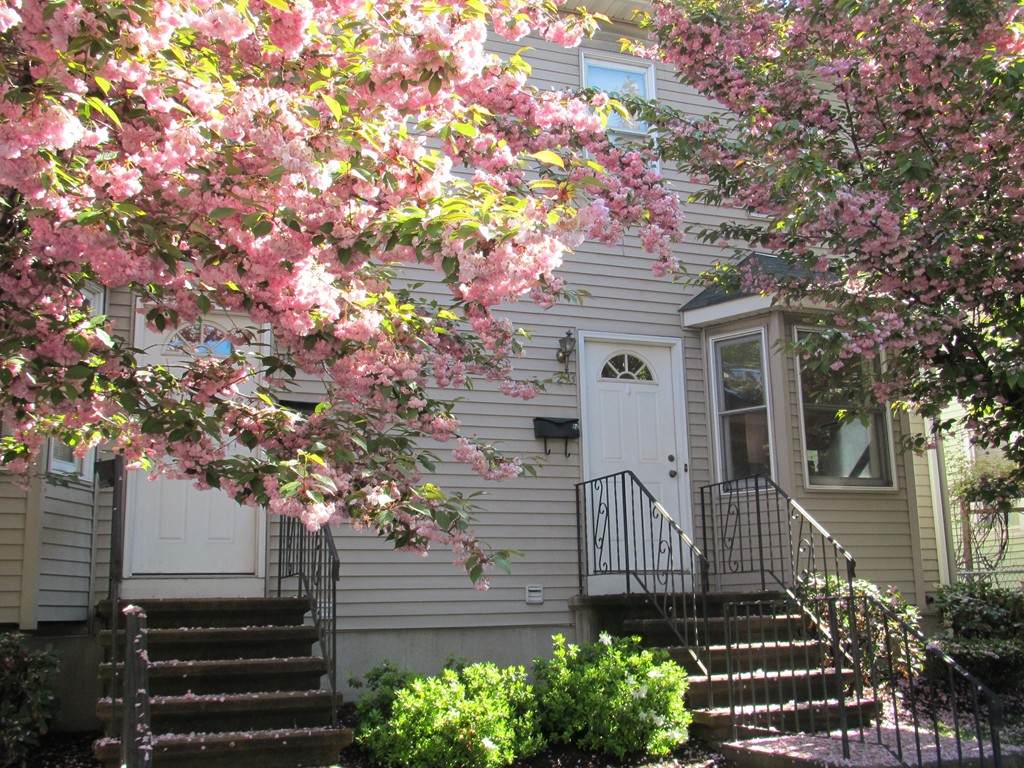 297 River Street - Photo 1