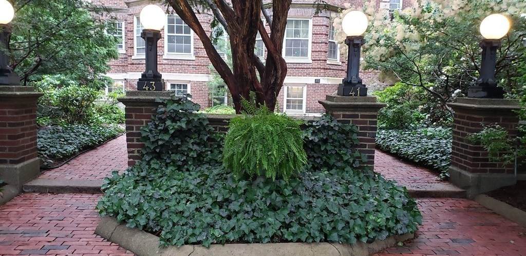 43 Linnaean Street - Photo 1