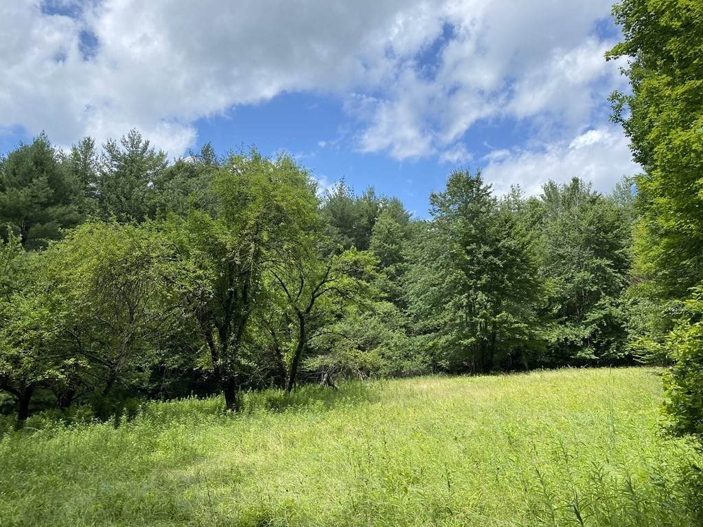 467 John Ford Rd - Photo 1