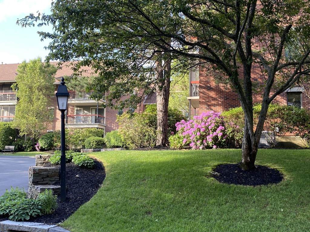 770 Salisbury Street - Photo 1