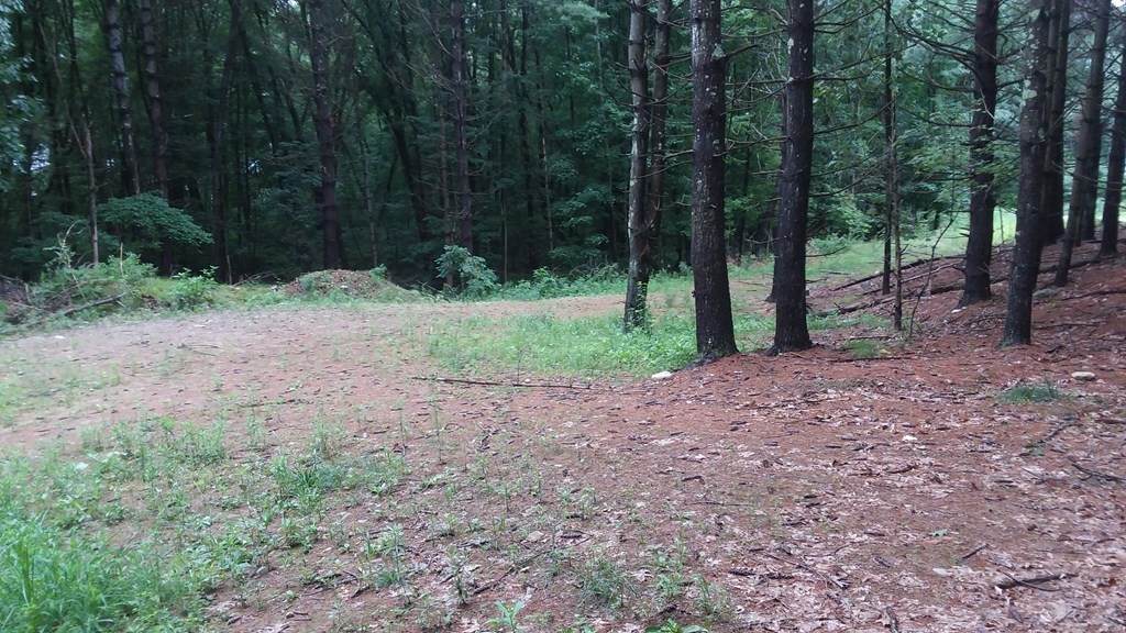0 Dana Road - Photo 1