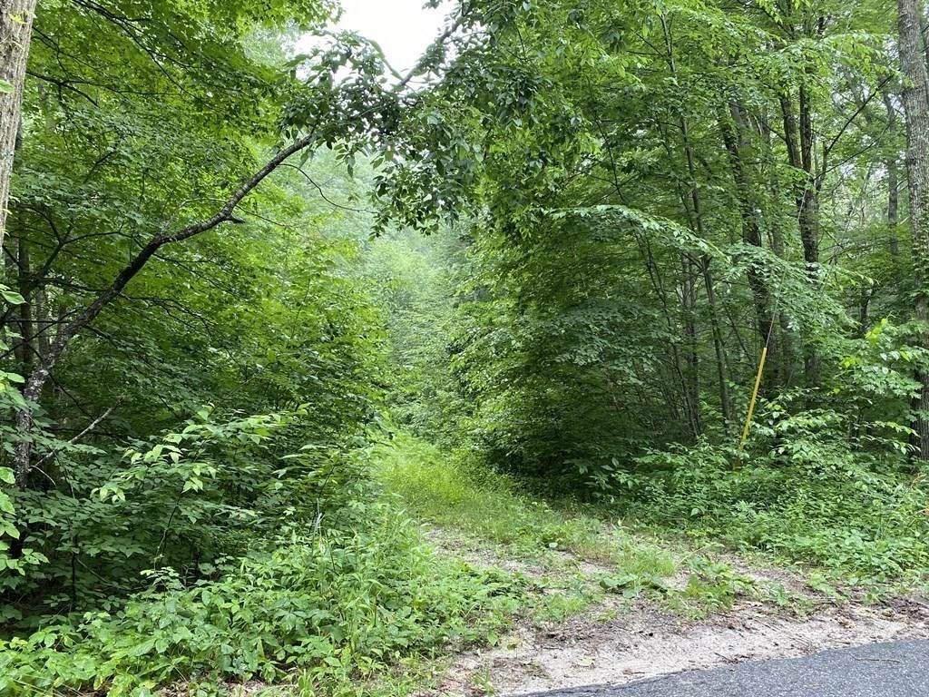 Lot 1F May Hill Rd - Photo 1