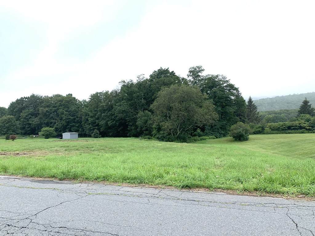 230 Bald Mountain Rd - Photo 1
