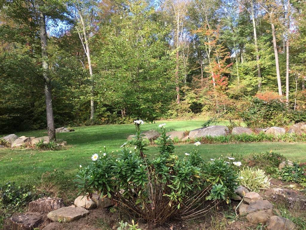 Lot 10 Reynolds Ave - Photo 1