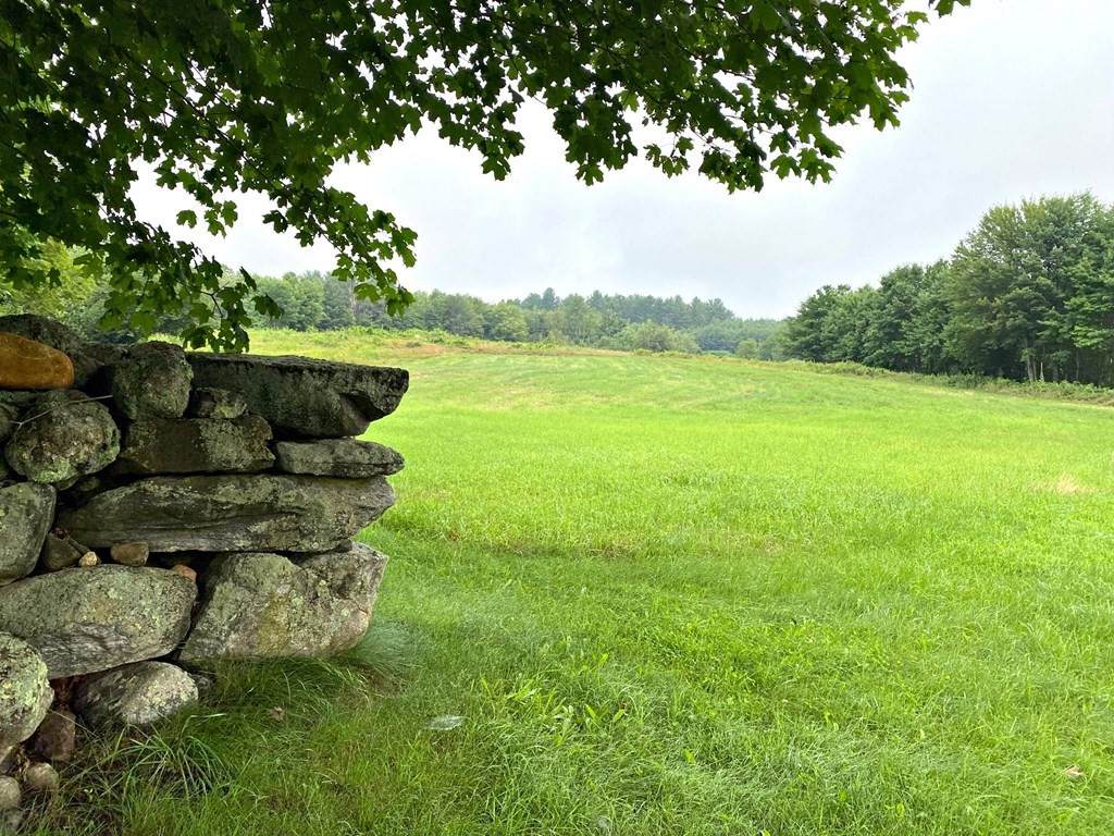 Lot 2 Campbell Rd. - Photo 1