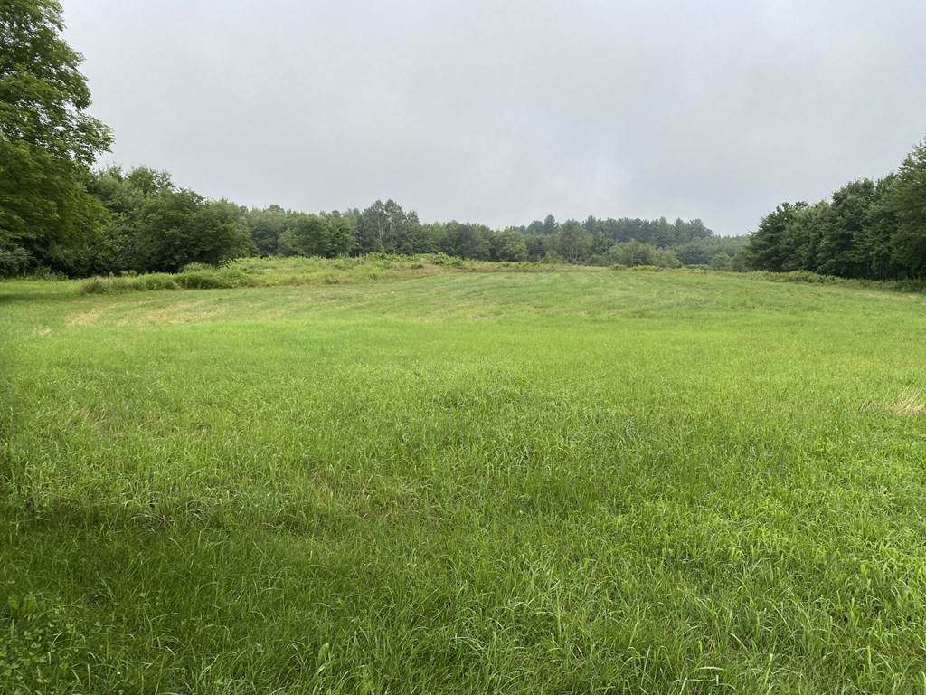 Lot 1 Campbell Rd. - Photo 1
