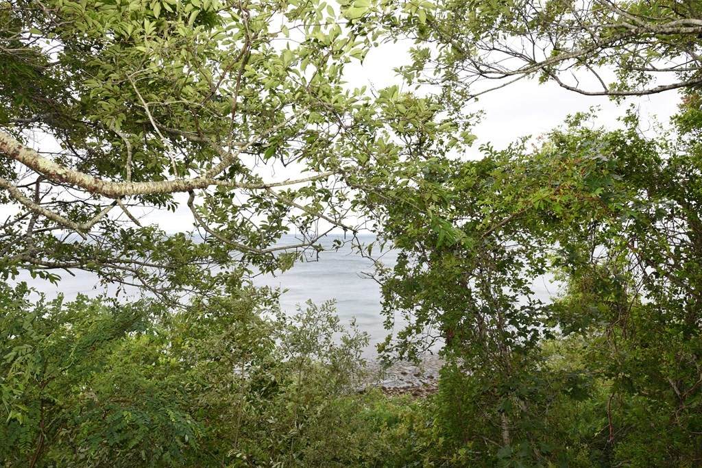33 Seaview Drive - Photo 1
