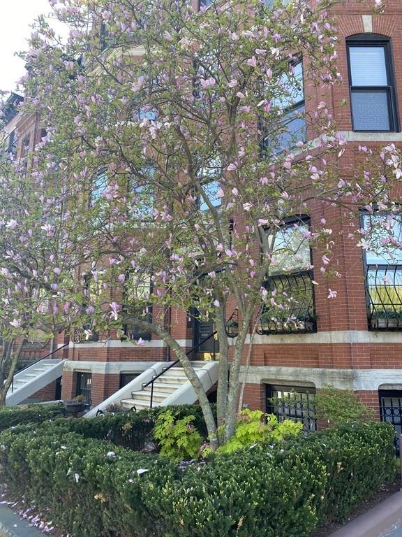 342 Commonwealth Ave - Photo 1