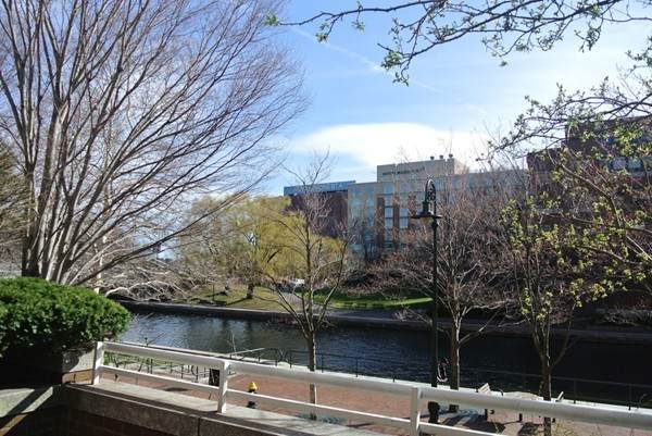 6 Canal Park - Photo 1
