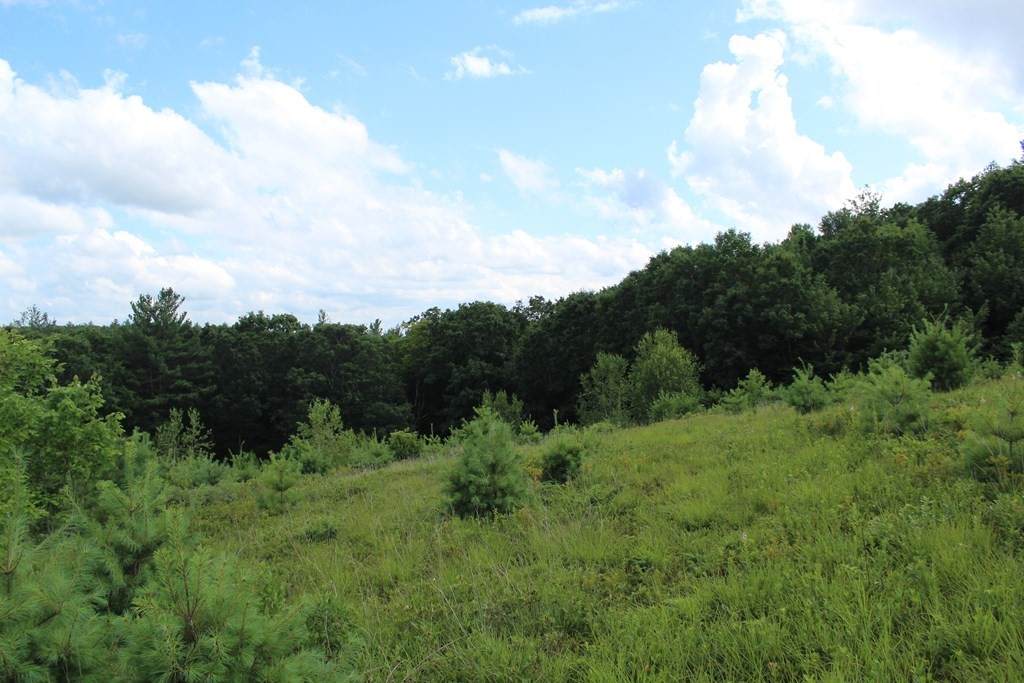 Lot 1 Crosby Rd - Photo 1