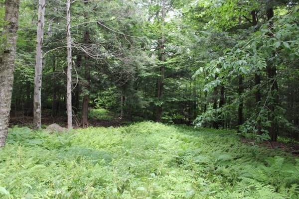 Lot 51.1 Stone Hill Rd - Photo 1