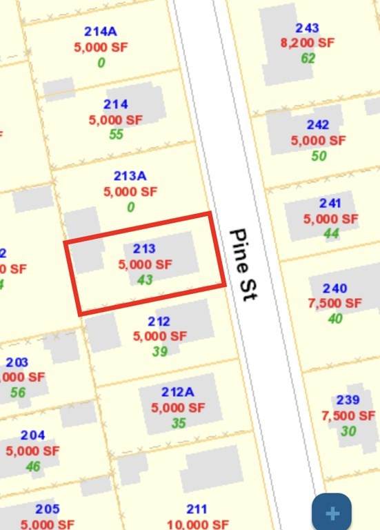 0 Pine Street (Land Only) - Photo 1