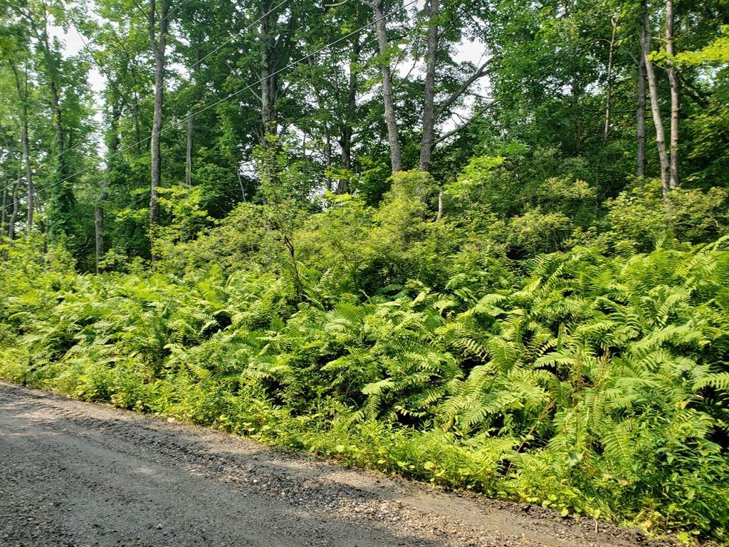 0 Arthur Pease Rd. - Photo 1