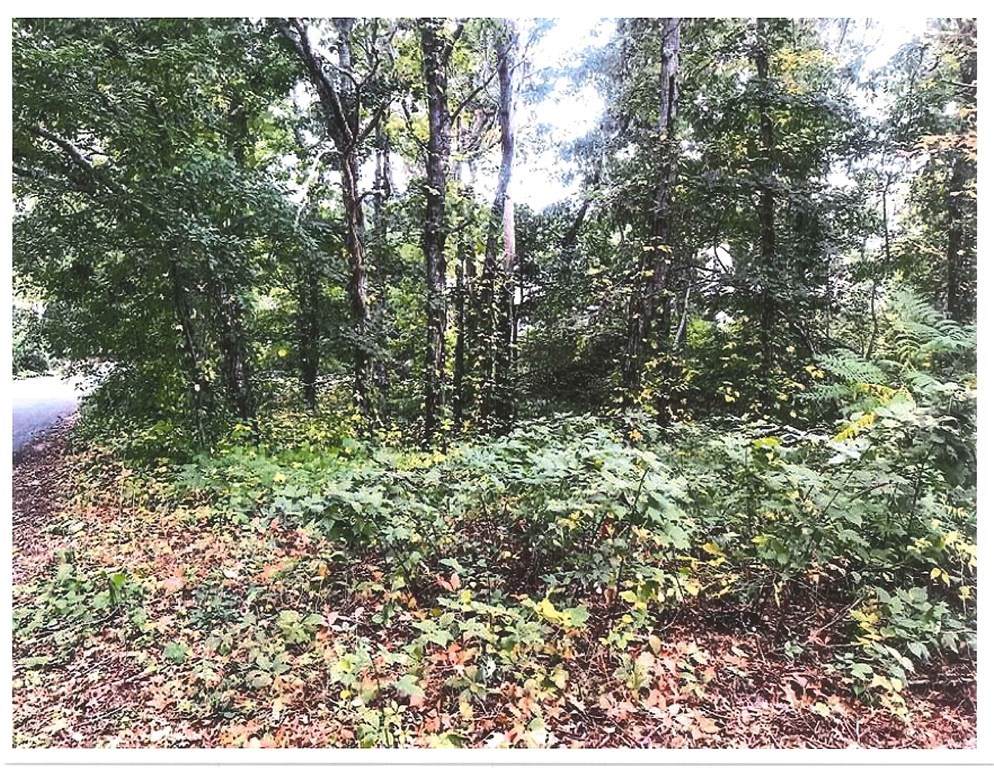 242 Washington Ave - Photo 1