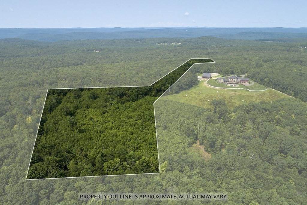 Lot 4 Blueberry Lane - Photo 1