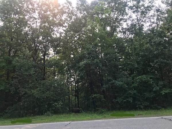 0 Lower Road - Photo 1