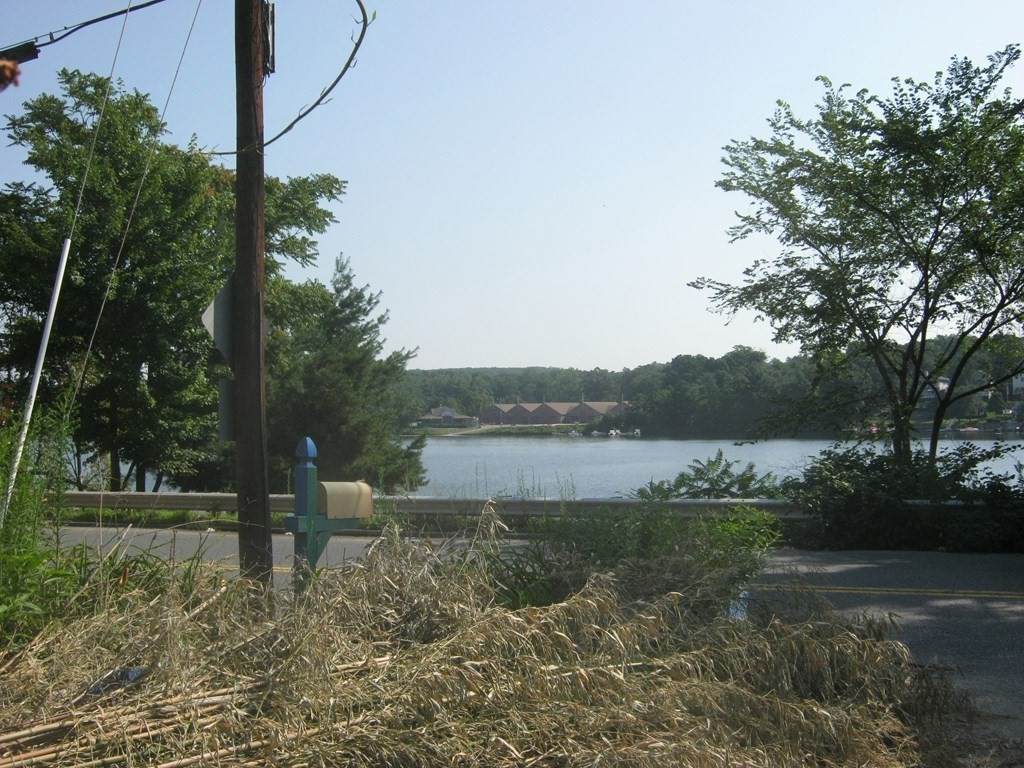 85 Natural History Drive - Photo 1