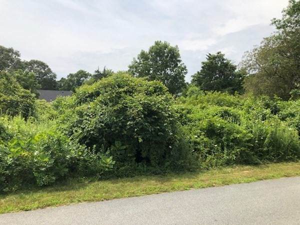 Lot 135 Whaler's Way - Photo 1