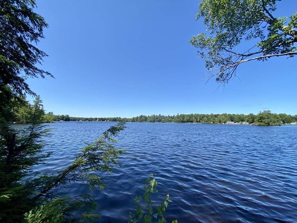 Lot 29 Lake Haven Lane - Photo 1