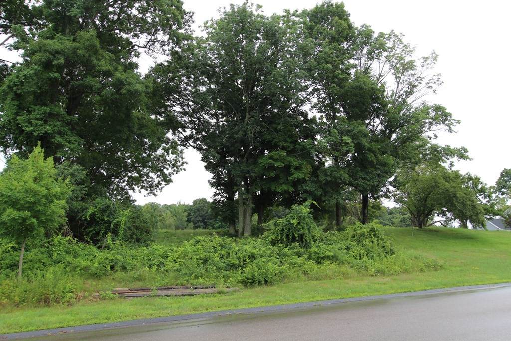 Lot 19 Evergreen Ter. - Photo 1
