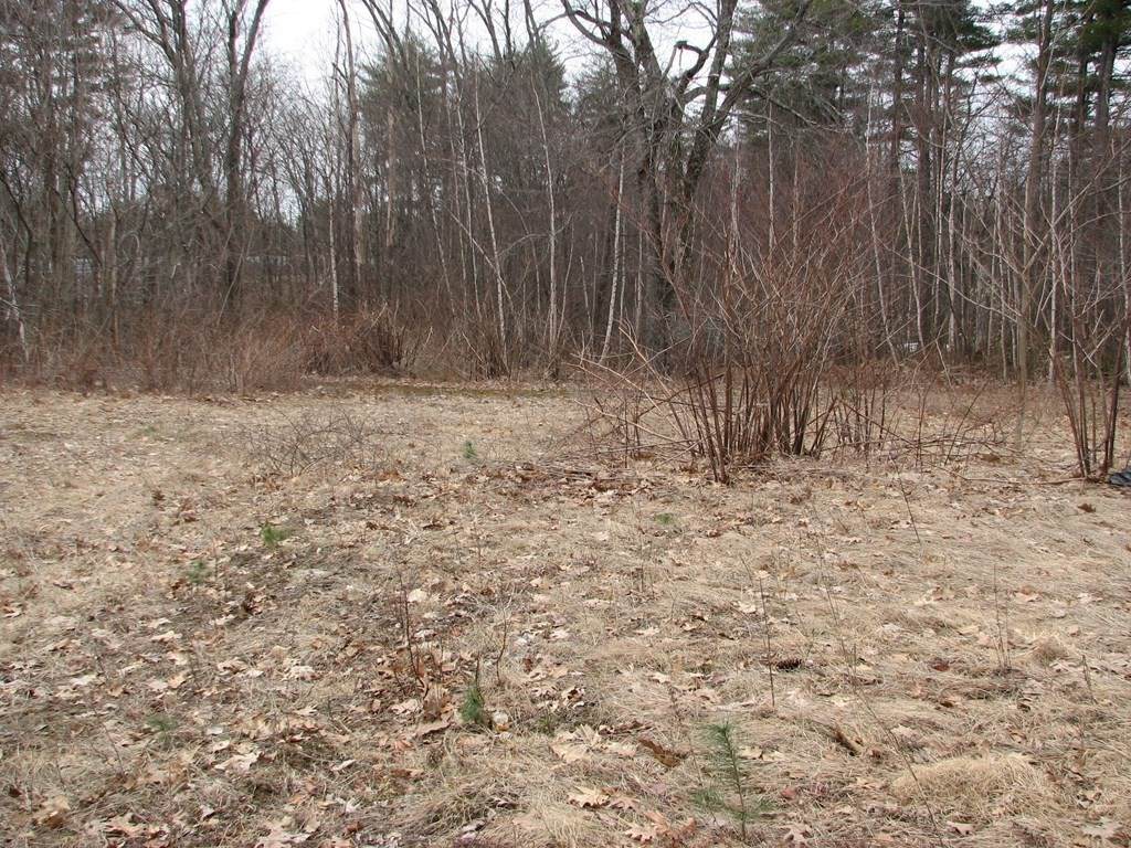 1236 Main St - Photo 1