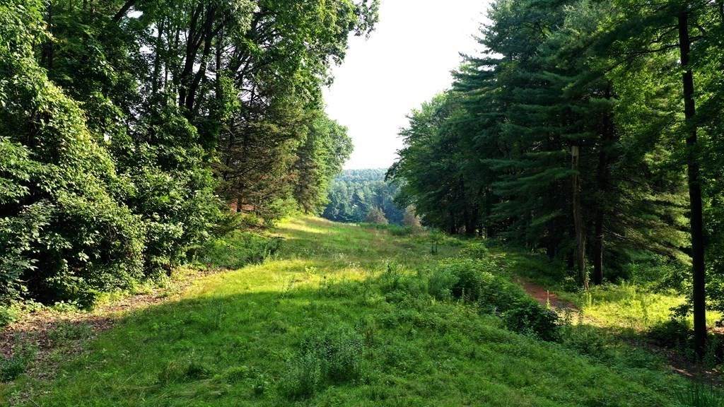272 Old Wilson Rd / Lot 4 - Photo 1