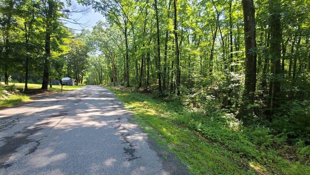 00 Randall Rd - Photo 1