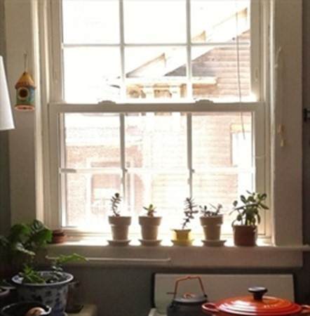18 Clinton St - Photo 1