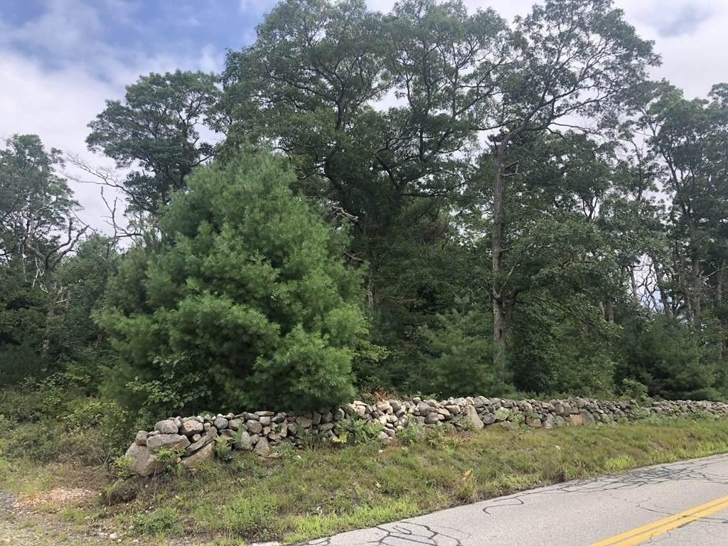 Lot 4 Potomska Road - Photo 1