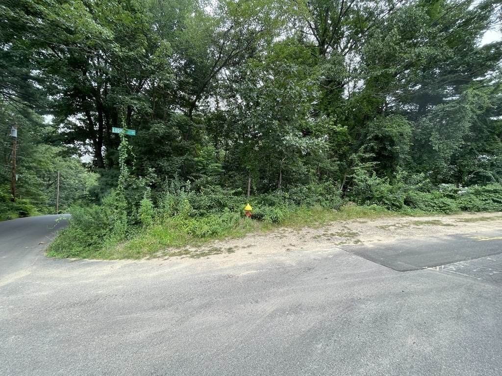 0 Munger Rd - Photo 1