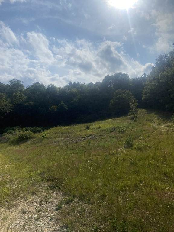 0 Bartlett Rd Off - Photo 1