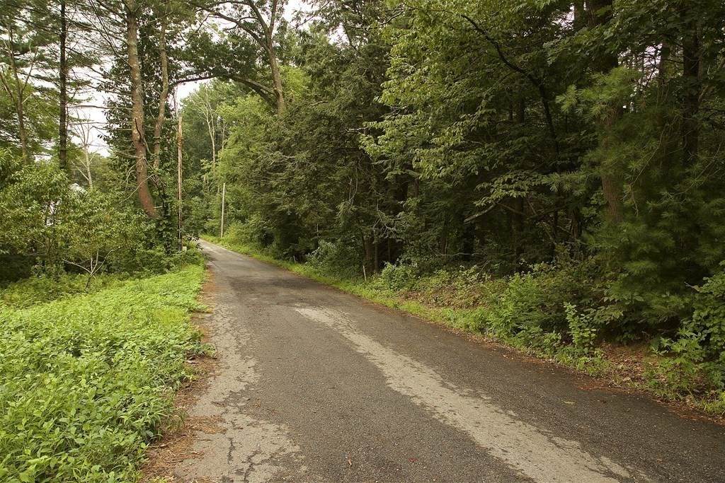 Lot - A Mill Rd - Photo 1