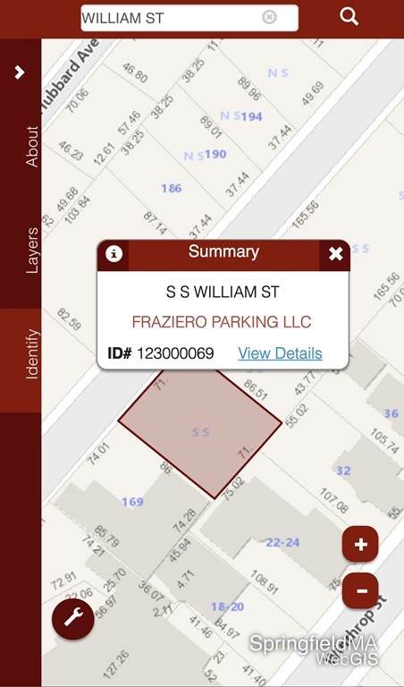 0 William St (Ss) - Photo 1