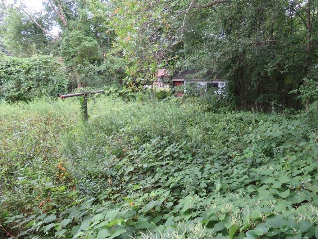 1076 Central Street - Photo 1