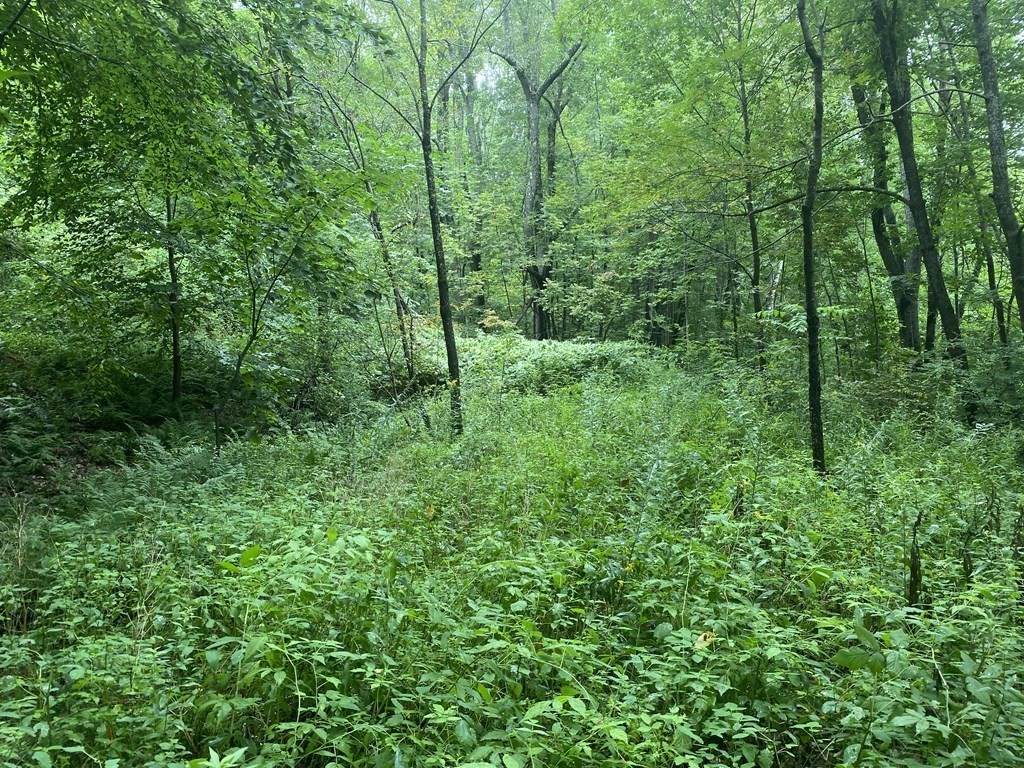 0 Harmony Rd. Ext - Photo 1