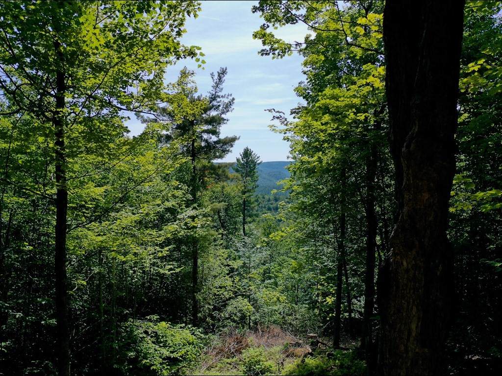 0 Burnt Hill Rd - Photo 1