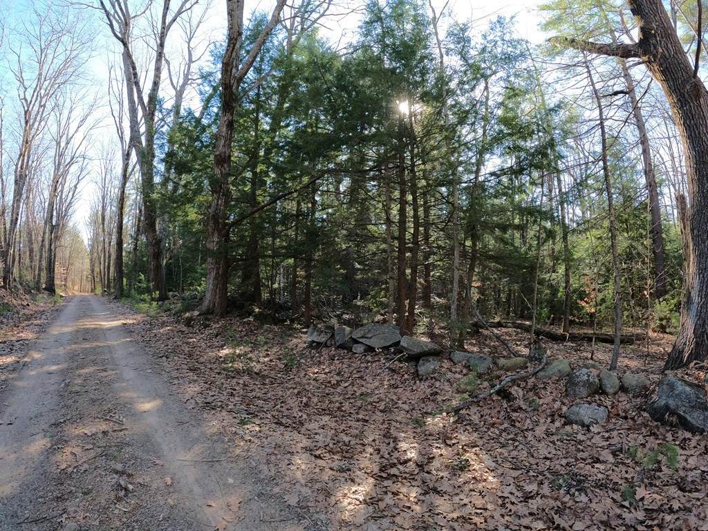 Lot 32-D Valentine Rd - Photo 1