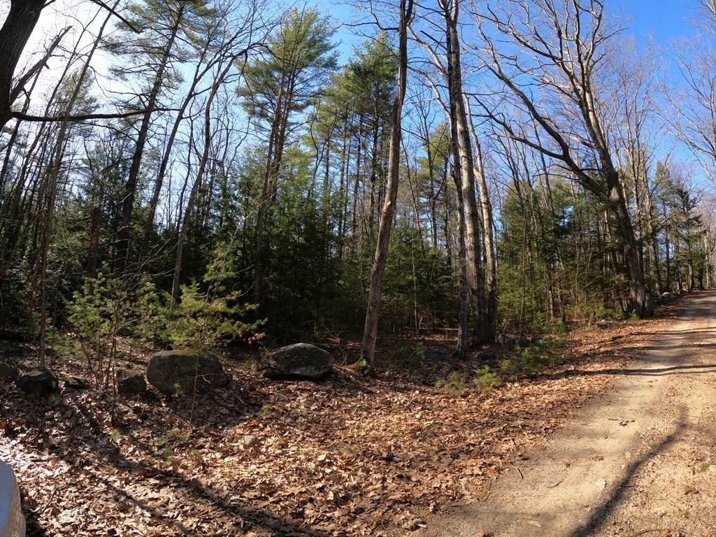 Lot 33-C Valentine Rd - Photo 1