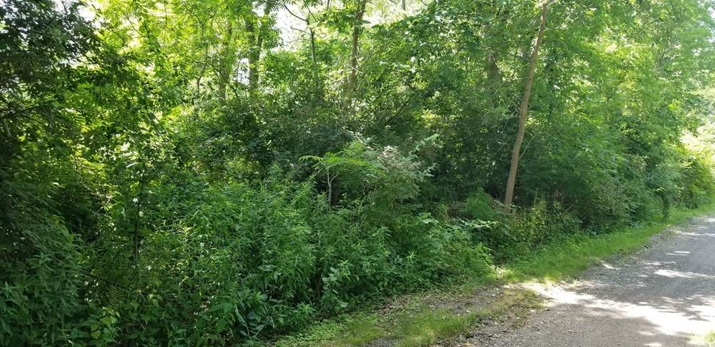 96 Town Farm Rd - Photo 1