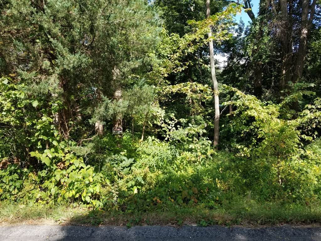 Lot 2 Oregon Rd - Photo 1