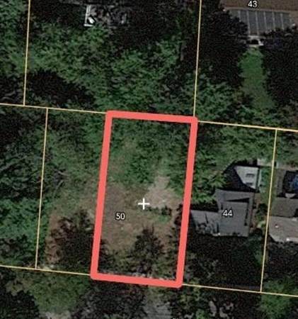 50 Elmwood Ave - Photo 1