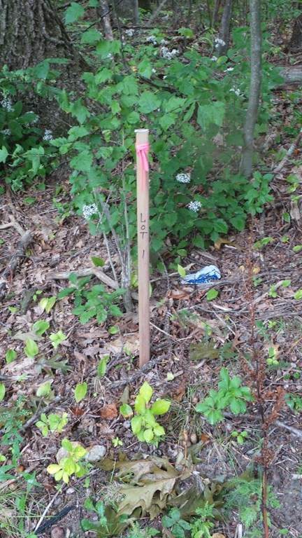 LOT 1 Elm St. - Photo 1
