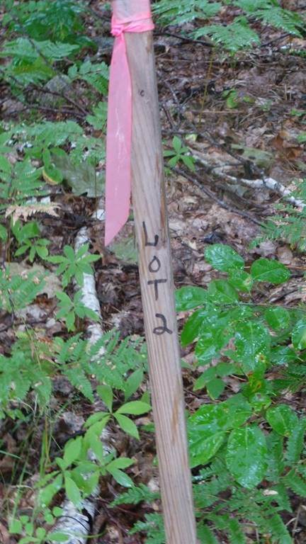 Lot 2 Elm St. - Photo 1