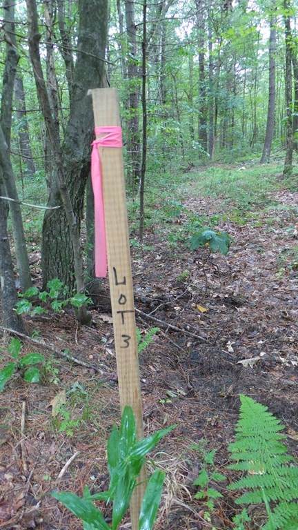 Lot 3 Elm St - Photo 1