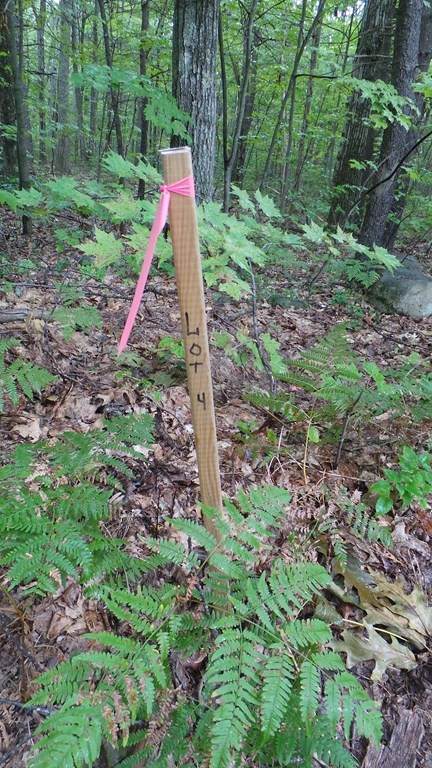 Lot 4 Elm St. - Photo 1