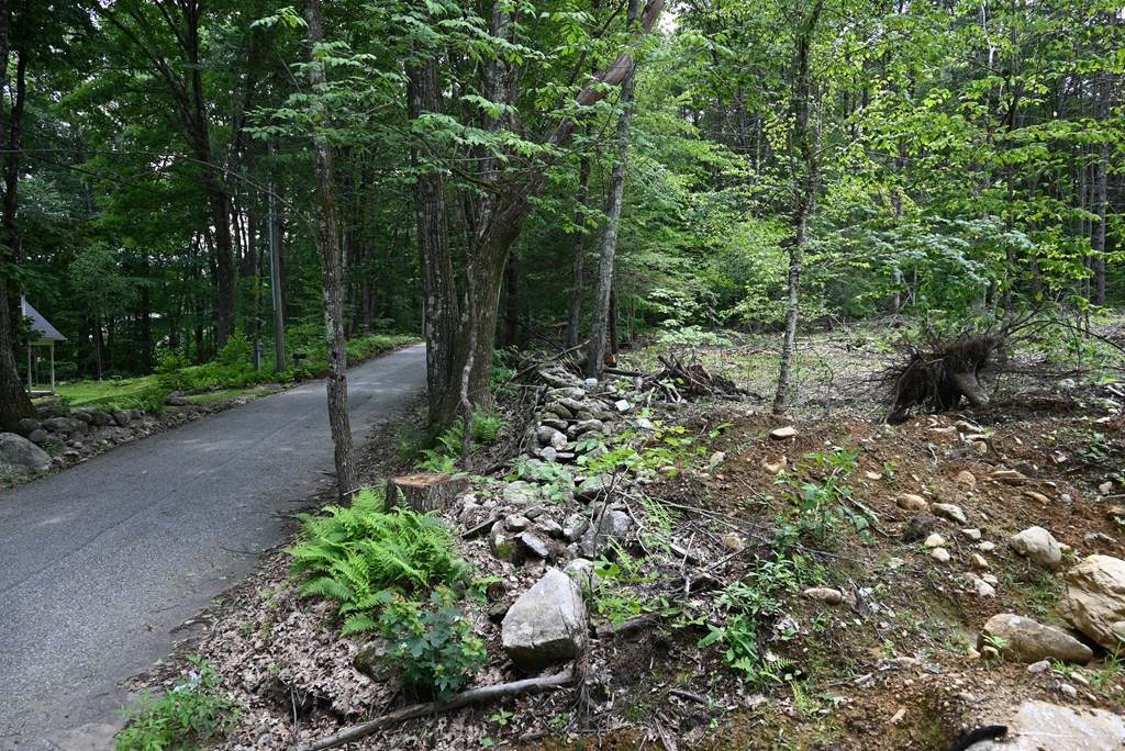 393 Farrington Rd Lot 1 - Photo 1
